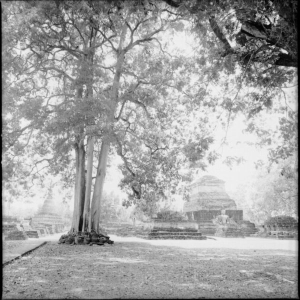 スーコタイ歴史公園にて　Sukhothai 2015　